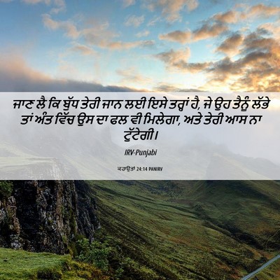 Picture 06 - ਕਹਾਉਤਾਂ 24:14 PANIRV - ਜਾਣ ਲੈ ਕਿ ਬੁੱਧ ਤੇਰੀ - Bible Verse Picture