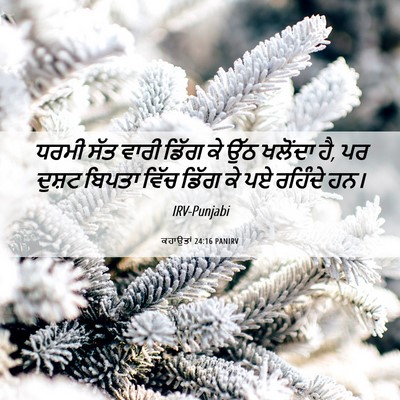Picture 06 - ਕਹਾਉਤਾਂ 24:16 PANIRV - ਧਰਮੀ ਸੱਤ ਵਾਰੀ ਡਿੱਗ - Bible Verse Picture