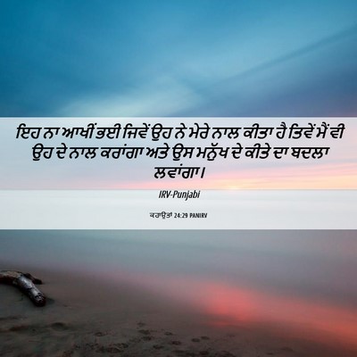 Picture 06 - ਕਹਾਉਤਾਂ 24:29 PANIRV - ਇਹ ਨਾ ਆਖੀਂ ਭਈ ਜਿਵੇਂ - Bible Verse Picture