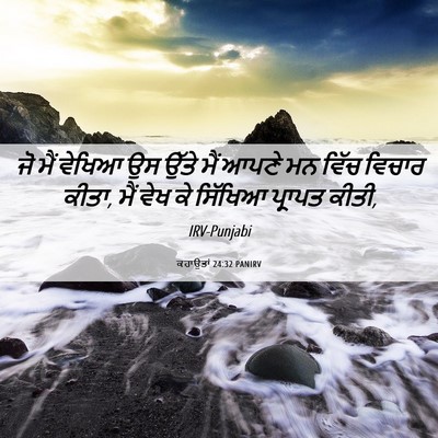 Picture 06 - ਕਹਾਉਤਾਂ 24:32 PANIRV - ਜੋ ਮੈਂ ਵੇਖਿਆ ਉਸ - Bible Verse Picture