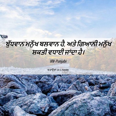 Picture 06 - ਕਹਾਉਤਾਂ 24:5 PANIRV - ਬੁੱਧਵਾਨ ਮਨੁੱਖ - Bible Verse Picture