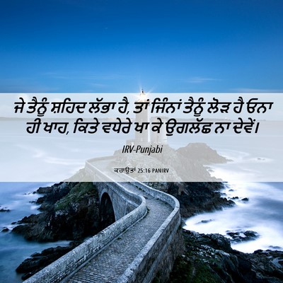 Picture 06 - ਕਹਾਉਤਾਂ 25:16 PANIRV - ਜੇ ਤੈਨੂੰ ਸ਼ਹਿਦ - Bible Verse Picture