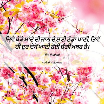 Picture 06 - ਕਹਾਉਤਾਂ 25:25 PANIRV - ਜਿਵੇਂ ਥੱਕੇ ਮਾਂਦੇ - Bible Verse Picture