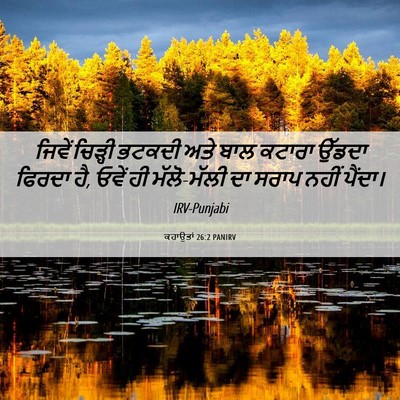 Picture 06 - ਕਹਾਉਤਾਂ 26:2 PANIRV - ਜਿਵੇਂ ਚਿੜ੍ਹੀ - Bible Verse Picture