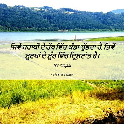 Picture 06 - ਕਹਾਉਤਾਂ 26:9 PANIRV - ਜਿਵੇਂ ਸ਼ਰਾਬੀ ਦੇ - Bible Verse Picture