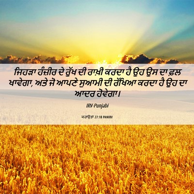 Picture 06 - ਕਹਾਉਤਾਂ 27:18 PANIRV - ਜਿਹੜਾ ਹੰਜ਼ੀਰ ਦੇ - Bible Verse Picture