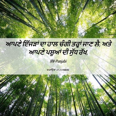Picture 06 - ਕਹਾਉਤਾਂ 27:23 PANIRV - ਆਪਣੇ ਇੱਜੜਾਂ ਦਾ ਹਾਲ - Bible Verse Picture