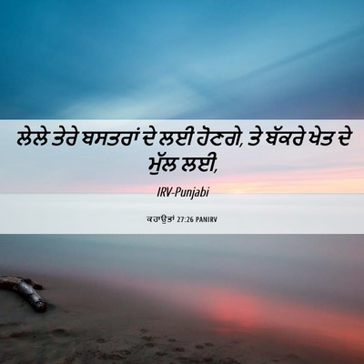 Picture 06 - ਕਹਾਉਤਾਂ 27:26 PANIRV - ਲੇਲੇ ਤੇਰੇ ਬਸਤਰਾਂ - Bible Verse Picture