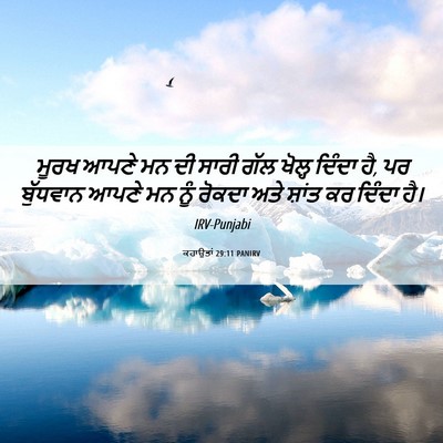 Picture 06 - ਕਹਾਉਤਾਂ 29:11 PANIRV - ਮੂਰਖ ਆਪਣੇ ਮਨ ਦੀ - Bible Verse Picture