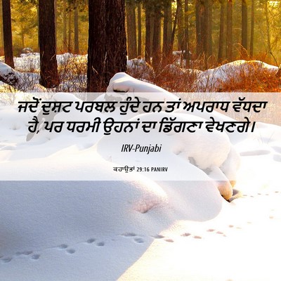 Picture 06 - ਕਹਾਉਤਾਂ 29:16 PANIRV - ਜਦੋਂ ਦੁਸ਼ਟ ਪਰਬਲ - Bible Verse Picture