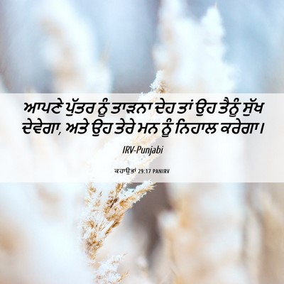 Picture 06 - ਕਹਾਉਤਾਂ 29:17 PANIRV - ਆਪਣੇ ਪੁੱਤਰ ਨੂੰ - Bible Verse Picture