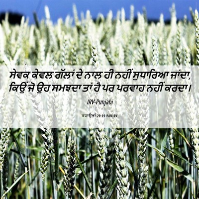 Picture 06 - ਕਹਾਉਤਾਂ 29:19 PANIRV - ਸੇਵਕ ਕੇਵਲ ਗੱਲਾਂ ਦੇ - Bible Verse Picture