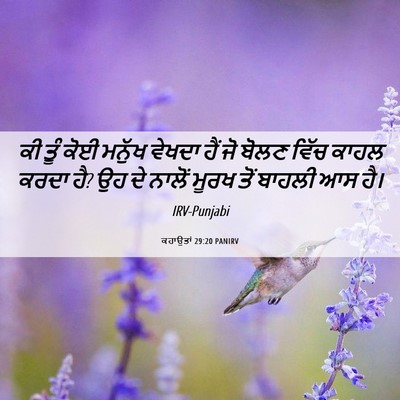 Picture 06 - ਕਹਾਉਤਾਂ 29:20 PANIRV - ਕੀ ਤੂੰ ਕੋਈ ਮਨੁੱਖ - Bible Verse Picture