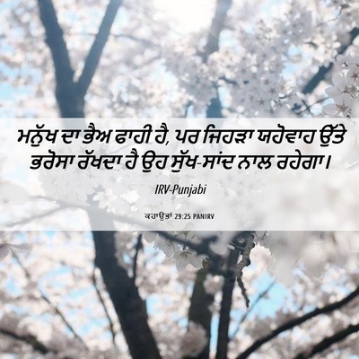 Picture 06 - ਕਹਾਉਤਾਂ 29:25 PANIRV - ਮਨੁੱਖ ਦਾ ਭੈਅ ਫਾਹੀ - Bible Verse Picture