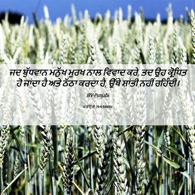 Picture 06 - ਕਹਾਉਤਾਂ 29:9 PANIRV - ਜਦ ਬੁੱਧਵਾਨ ਮਨੁੱਖ - Bible Verse Picture