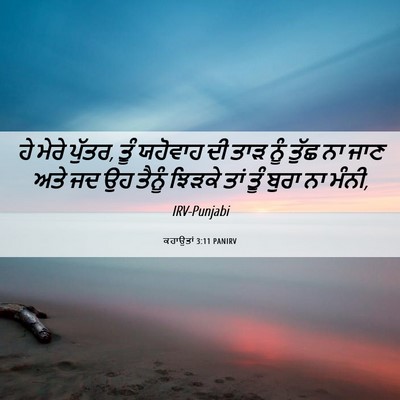 Picture 06 - ਕਹਾਉਤਾਂ 3:11 PANIRV - ਹੇ ਮੇਰੇ ਪੁੱਤਰ, ਤੂੰ - Bible Verse Picture