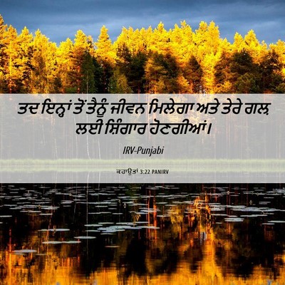 Picture 06 - ਕਹਾਉਤਾਂ 3:22 PANIRV - ਤਦ ਇਨ੍ਹਾਂ ਤੋਂ - Bible Verse Picture