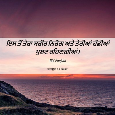Picture 06 - ਕਹਾਉਤਾਂ 3:8 PANIRV - ਇਸ ਤੋਂ ਤੇਰਾ ਸਰੀਰ - Bible Verse Picture
