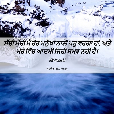 Picture 06 - ਕਹਾਉਤਾਂ 30:2 PANIRV - ਸੱਚੀਂ ਮੁੱਚੀਂ ਮੈਂ - Bible Verse Picture