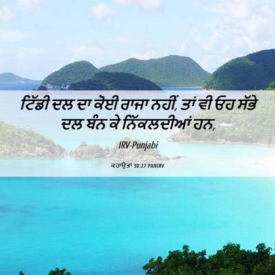 Picture 06 - ਕਹਾਉਤਾਂ 30:27 PANIRV - ਟਿੱਡੀ ਦਲ ਦਾ ਕੋਈ - Bible Verse Picture