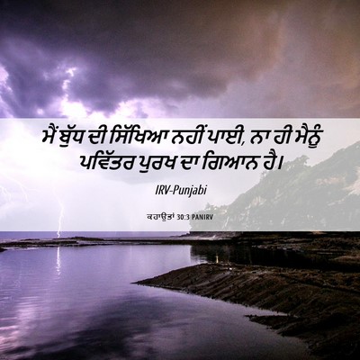 Picture 06 - ਕਹਾਉਤਾਂ 30:3 PANIRV - ਮੈਂ ਬੁੱਧ ਦੀ ਸਿੱਖਿਆ - Bible Verse Picture