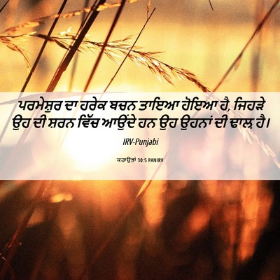 Picture 06 - ਕਹਾਉਤਾਂ 30:5 PANIRV - ਪਰਮੇਸ਼ੁਰ ਦਾ ਹਰੇਕ - Bible Verse Picture