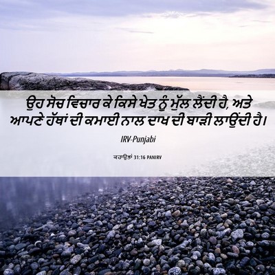Picture 06 - ਕਹਾਉਤਾਂ 31:16 PANIRV - ਉਹ ਸੋਚ ਵਿਚਾਰ ਕੇ - Bible Verse Picture