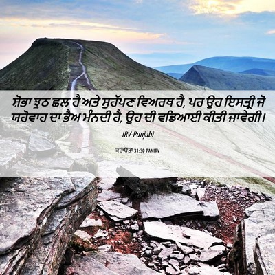 Picture 06 - ਕਹਾਉਤਾਂ 31:30 PANIRV - ਸ਼ੋਭਾ ਝੂਠ ਛਲ ਹੈ ਅਤੇ - Bible Verse Picture