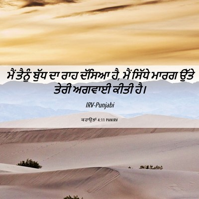Picture 06 - ਕਹਾਉਤਾਂ 4:11 PANIRV - ਮੈਂ ਤੈਨੂੰ ਬੁੱਧ ਦਾ - Bible Verse Picture