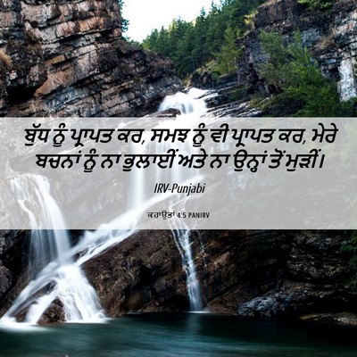 Picture 06 - ਕਹਾਉਤਾਂ 4:5 PANIRV - ਬੁੱਧ ਨੂੰ ਪ੍ਰਾਪਤ ਕਰ, - Bible Verse Picture
