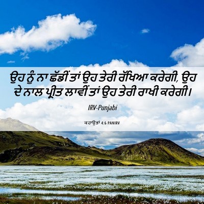 Picture 06 - ਕਹਾਉਤਾਂ 4:6 PANIRV - ਉਹ ਨੂੰ ਨਾ ਛੱਡੀਂ ਤਾਂ - Bible Verse Picture
