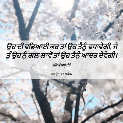 Picture 06 - ਕਹਾਉਤਾਂ 4:8 PANIRV - ਉਹ ਦੀ ਵਡਿਆਈ ਕਰ ਤਾਂ - Bible Verse Picture