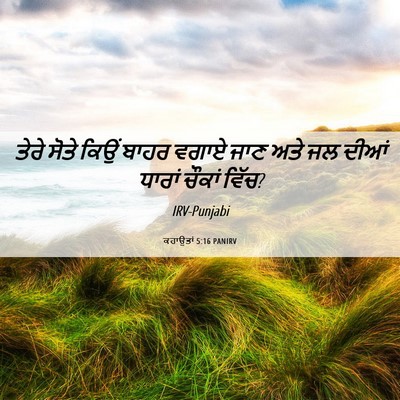 Picture 06 - ਕਹਾਉਤਾਂ 5:16 PANIRV - ਤੇਰੇ ਸੋਤੇ ਕਿਉਂ - Bible Verse Picture
