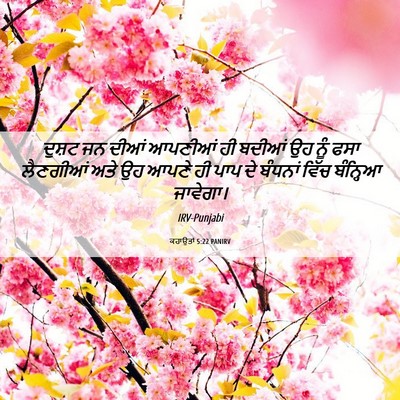 Picture 06 - ਕਹਾਉਤਾਂ 5:22 PANIRV - ਦੁਸ਼ਟ ਜਨ ਦੀਆਂ - Bible Verse Picture