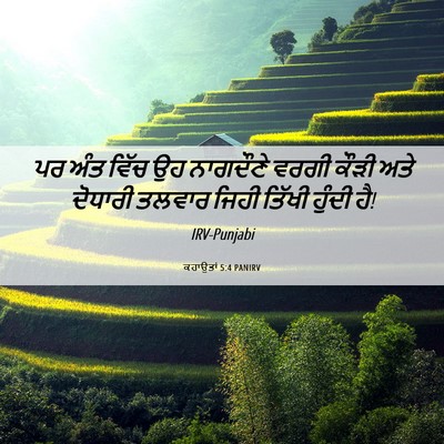 Picture 06 - ਕਹਾਉਤਾਂ 5:4 PANIRV - ਪਰ ਅੰਤ ਵਿੱਚ ਉਹ - Bible Verse Picture