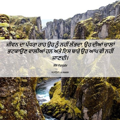 Picture 06 - ਕਹਾਉਤਾਂ 5:6 PANIRV - ਜੀਵਨ ਦਾ ਪੱਧਰਾ ਰਾਹ - Bible Verse Picture