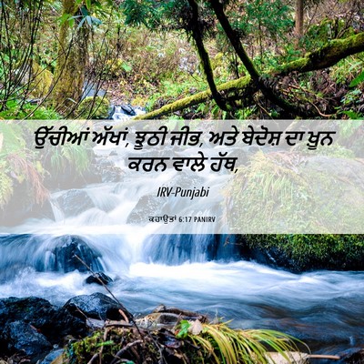 Picture 06 - ਕਹਾਉਤਾਂ 6:17 PANIRV - ਉੱਚੀਆਂ ਅੱਖਾਂ, ਝੂਠੀ - Bible Verse Picture