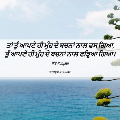 Picture 06 - ਕਹਾਉਤਾਂ 6:2 PANIRV - ਤਾਂ ਤੂੰ ਆਪਣੇ ਹੀ - Bible Verse Picture