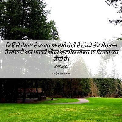 Picture 06 - ਕਹਾਉਤਾਂ 6:26 PANIRV - ਕਿਉਂ ਜੋ ਵੇਸਵਾ ਦੇ - Bible Verse Picture