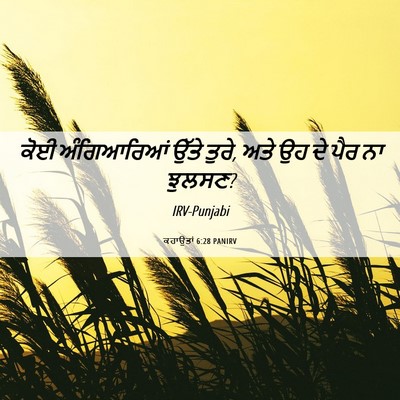 Picture 06 - ਕਹਾਉਤਾਂ 6:28 PANIRV - ਕੋਈ ਅੰਗਿਆਰਿਆਂ - Bible Verse Picture