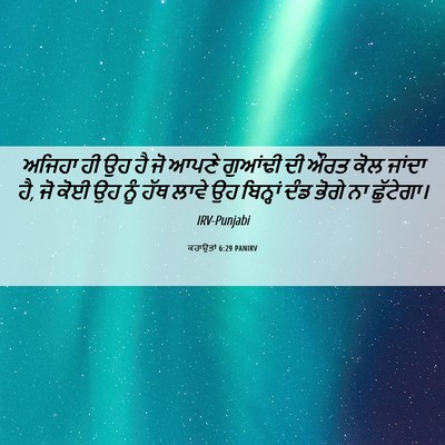 Picture 06 - ਕਹਾਉਤਾਂ 6:29 PANIRV - ਅਜਿਹਾ ਹੀ ਉਹ ਹੈ ਜੋ - Bible Verse Picture