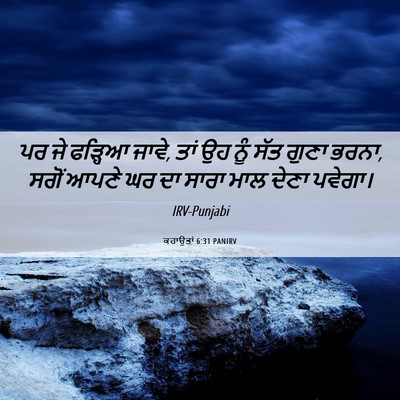 Picture 06 - ਕਹਾਉਤਾਂ 6:31 PANIRV - ਪਰ ਜੇ ਫੜ੍ਹਿਆ ਜਾਵੇ, - Bible Verse Picture
