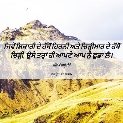 Picture 06 - ਕਹਾਉਤਾਂ 6:5 PANIRV - ਜਿਵੇਂ ਸ਼ਿਕਾਰੀ ਦੇ - Bible Verse Picture