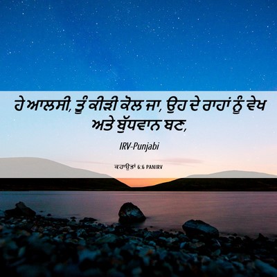 Picture 06 - ਕਹਾਉਤਾਂ 6:6 PANIRV - ਹੇ ਆਲਸੀ, ਤੂੰ ਕੀੜੀ - Bible Verse Picture