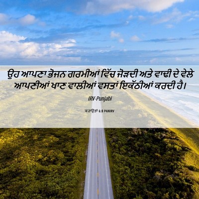 Picture 06 - ਕਹਾਉਤਾਂ 6:8 PANIRV - ਉਹ ਆਪਣਾ ਭੋਜਨ - Bible Verse Picture