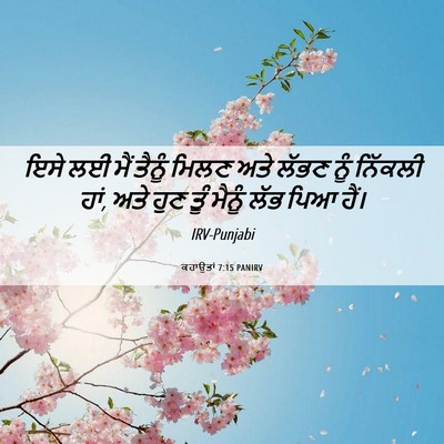 Picture 06 - ਕਹਾਉਤਾਂ 7:15 PANIRV - ਇਸੇ ਲਈ ਮੈਂ ਤੈਨੂੰ - Bible Verse Picture