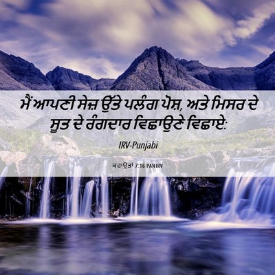 Picture 06 - ਕਹਾਉਤਾਂ 7:16 PANIRV - ਮੈਂ ਆਪਣੀ ਸੇਜ਼ ਉੱਤੇ - Bible Verse Picture