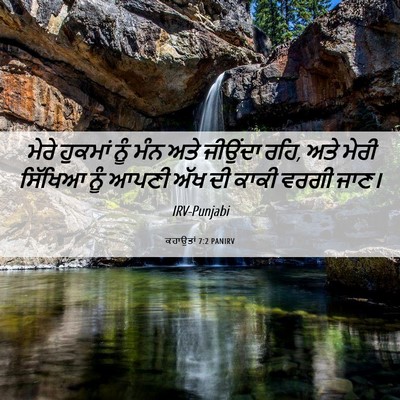 Picture 06 - ਕਹਾਉਤਾਂ 7:2 PANIRV - ਮੇਰੇ ਹੁਕਮਾਂ ਨੂੰ - Bible Verse Picture