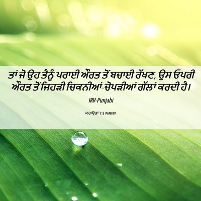 Picture 06 - ਕਹਾਉਤਾਂ 7:5 PANIRV - ਤਾਂ ਜੋ ਉਹ ਤੈਨੂੰ - Bible Verse Picture