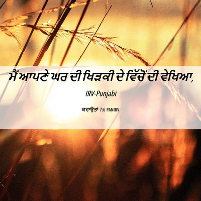 Picture 06 - ਕਹਾਉਤਾਂ 7:6 PANIRV - ਮੈਂ ਆਪਣੇ ਘਰ ਦੀ - Bible Verse Picture